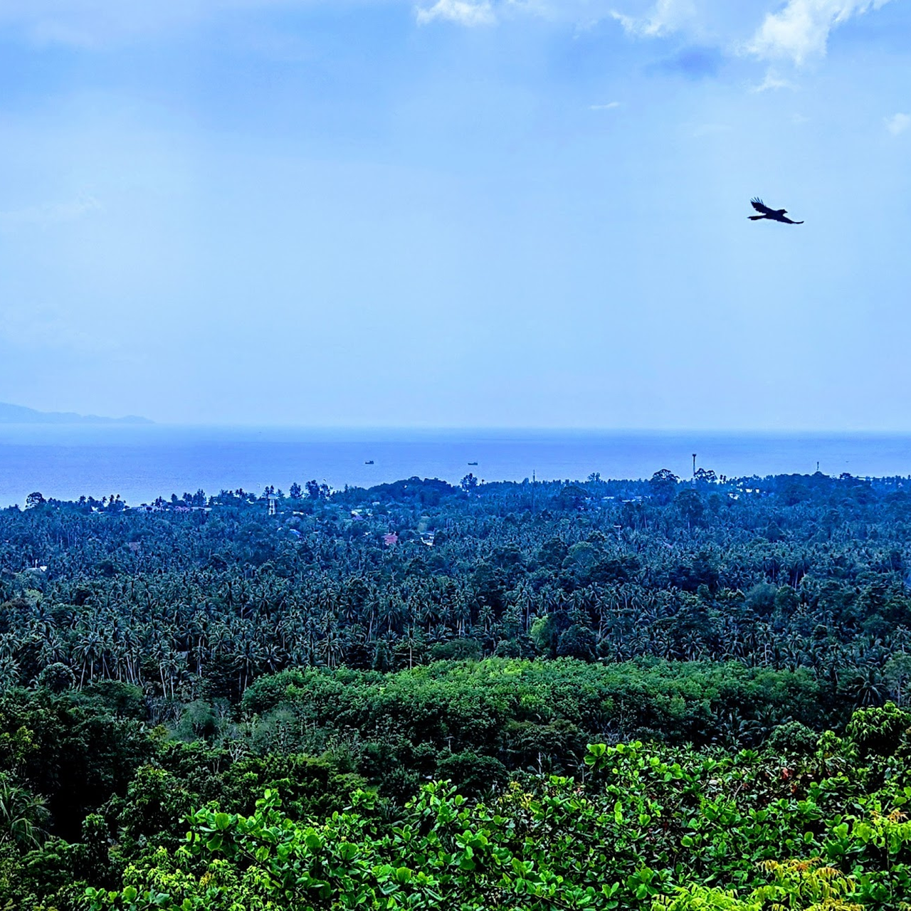 Baan-Tai-Baan-Khai-Koh-Phangan