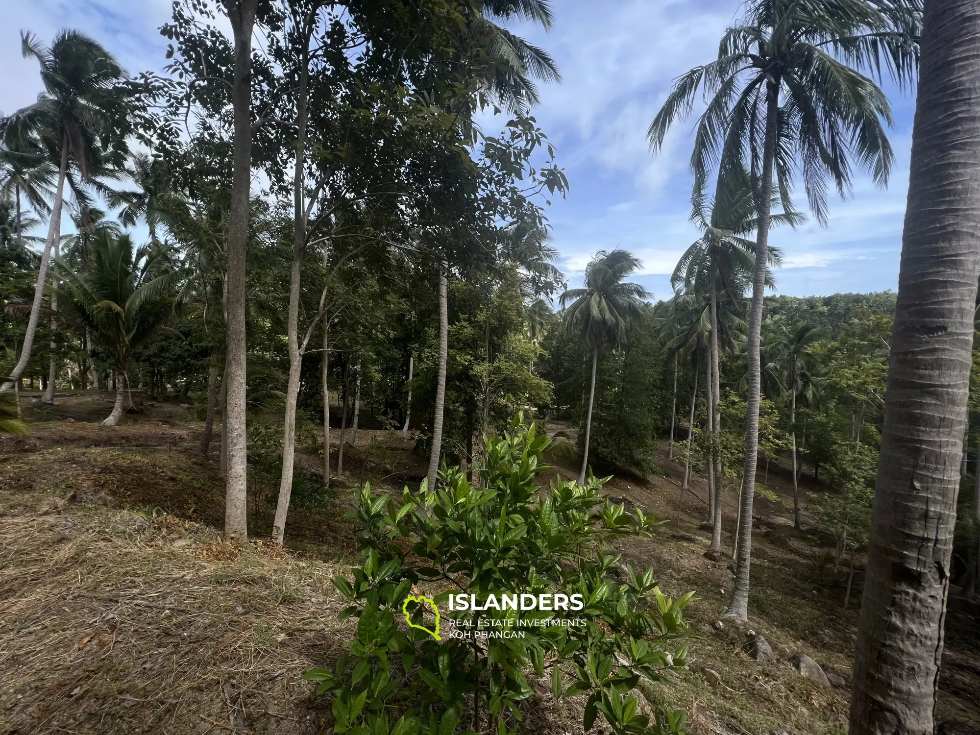 Land with Jungle View in Madua Wan 17 Rai