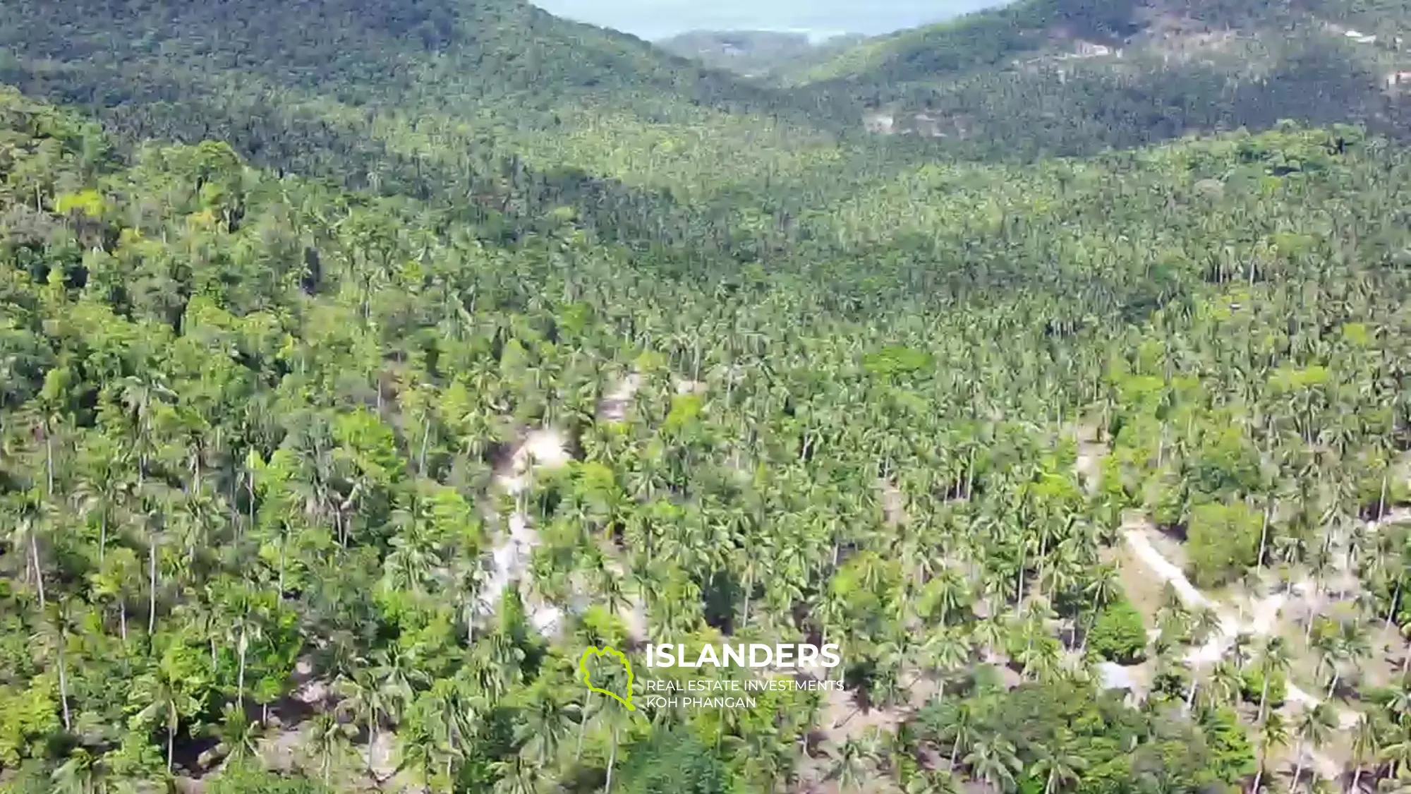 Land with Jungle View in Madua Wan 17 Rai