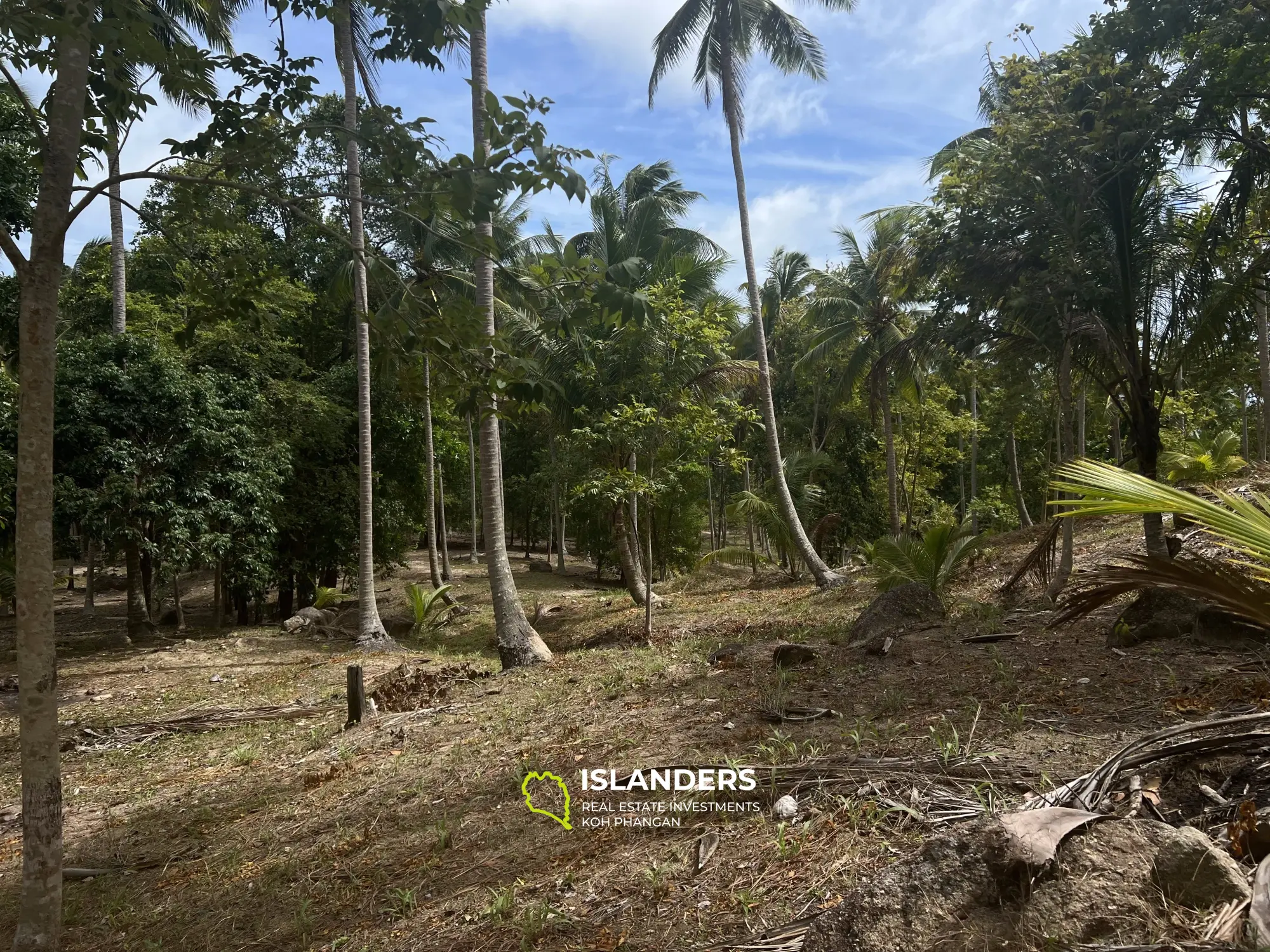 Land with Jungle View in Madua Wan 17 Rai