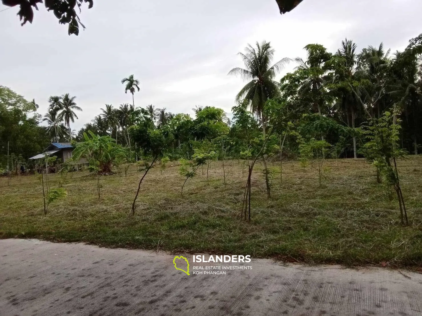 For Sale: Land in Maduawan, Panghan