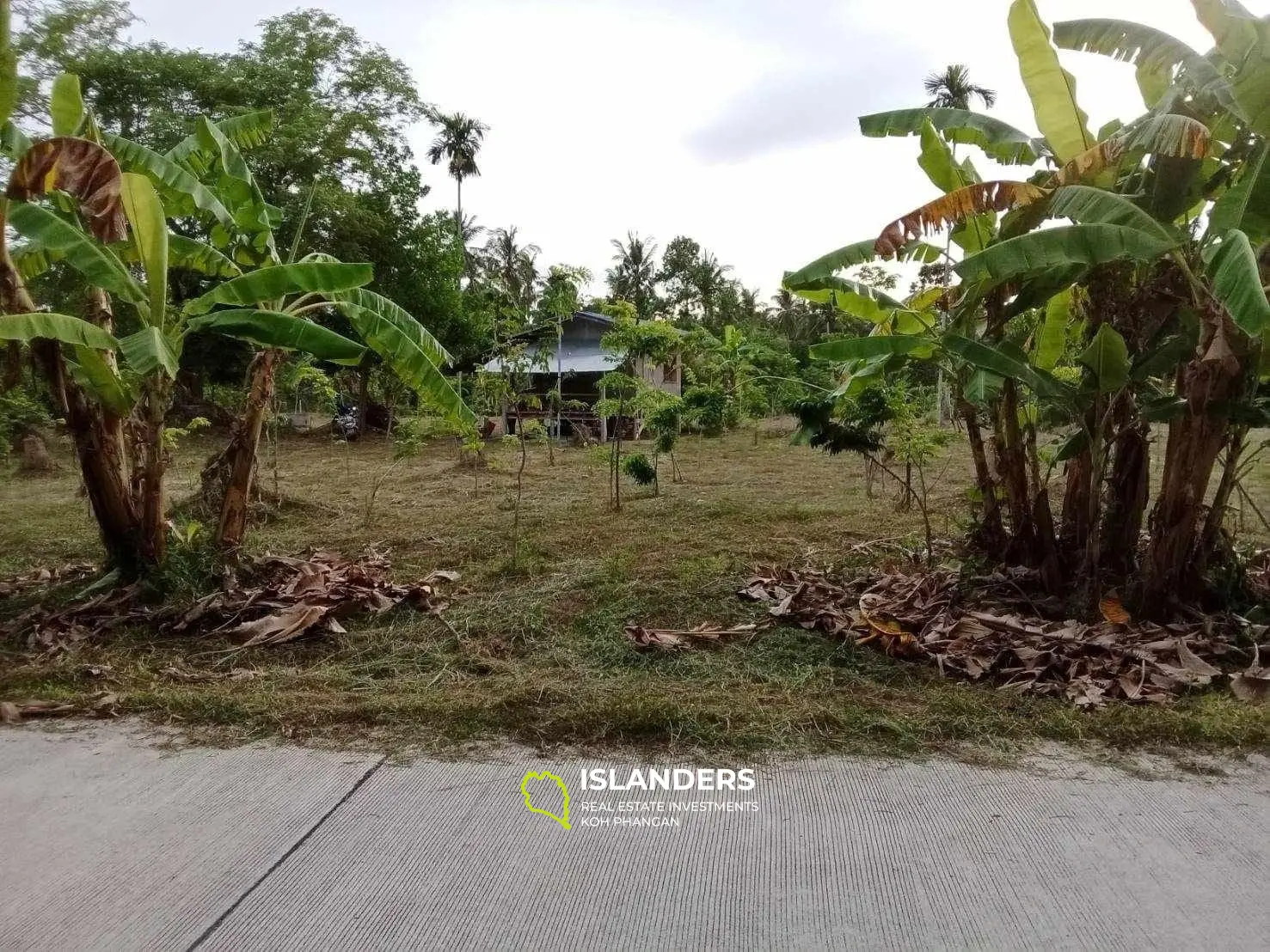 For Sale: Land in Maduawan, Panghan