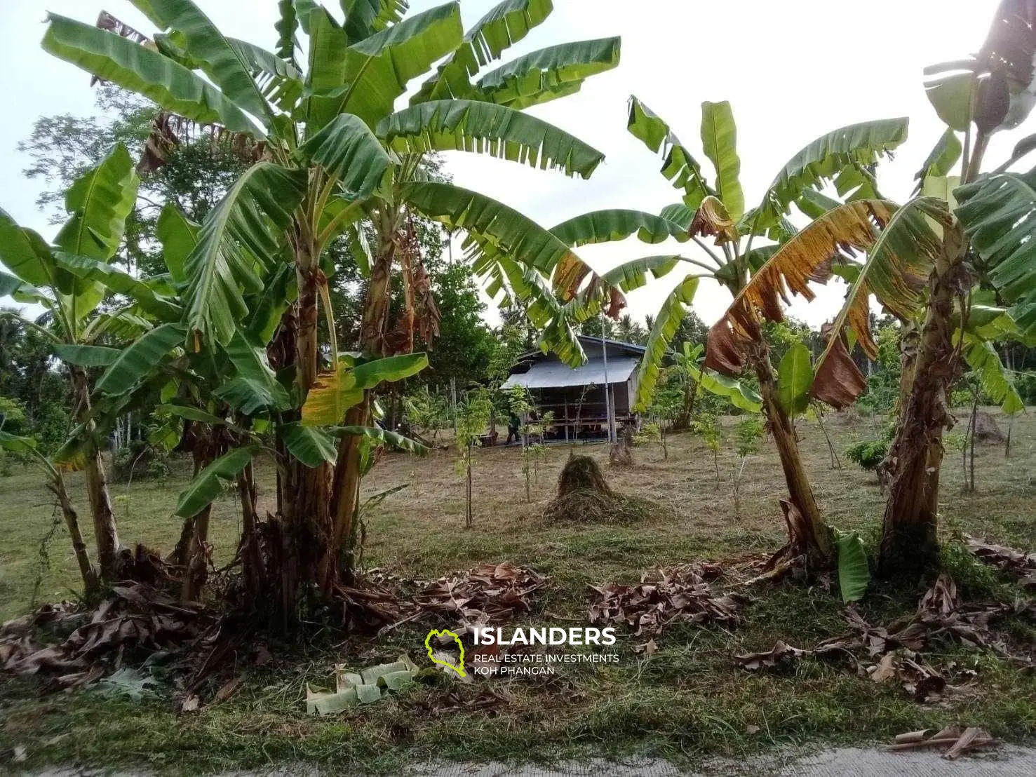 For Sale: Land in Maduawan, Panghan