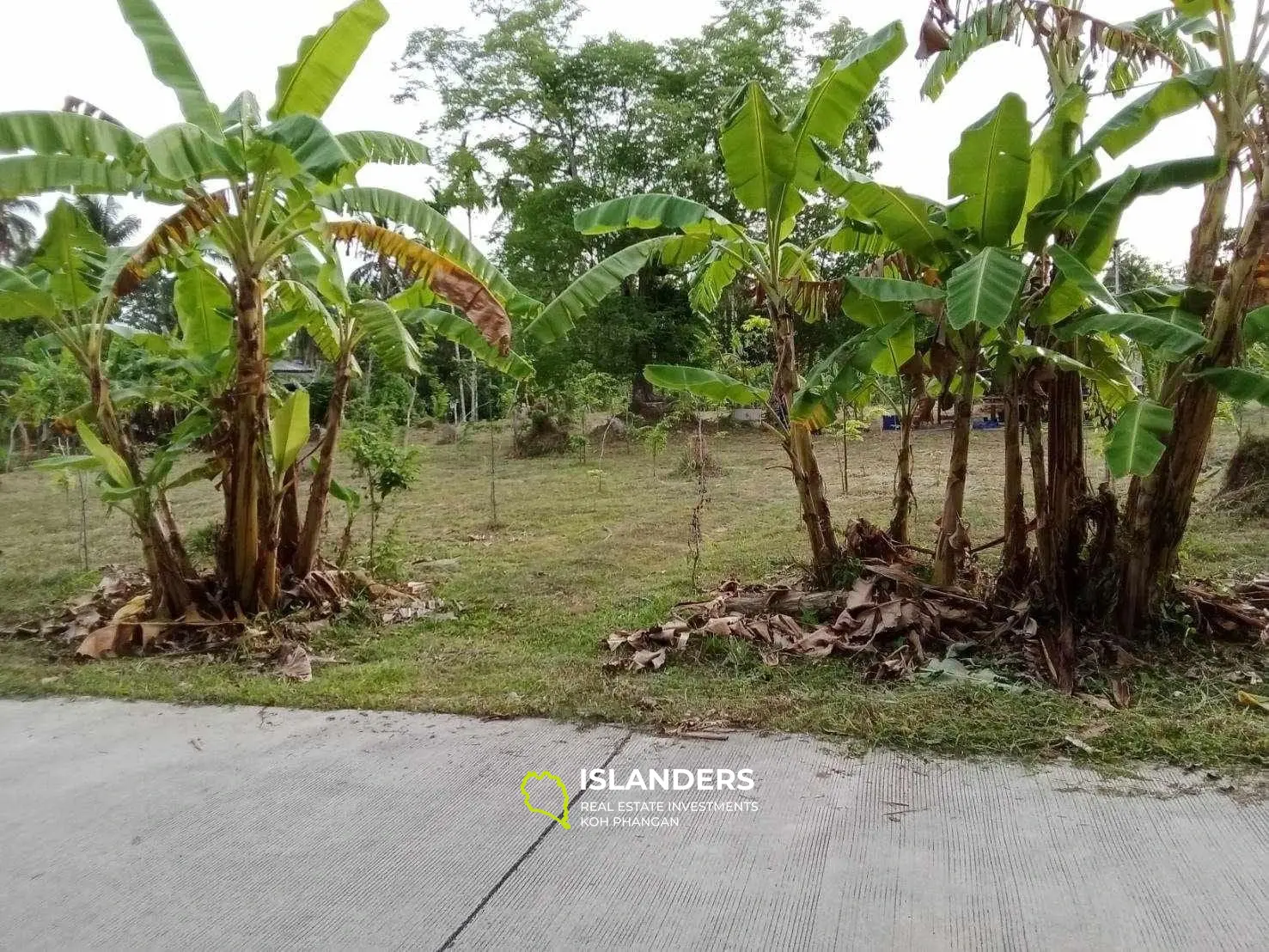 For Sale: Land in Maduawan, Panghan