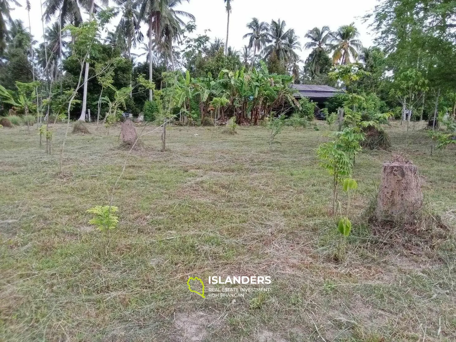 For Sale: Land in Maduawan, Panghan