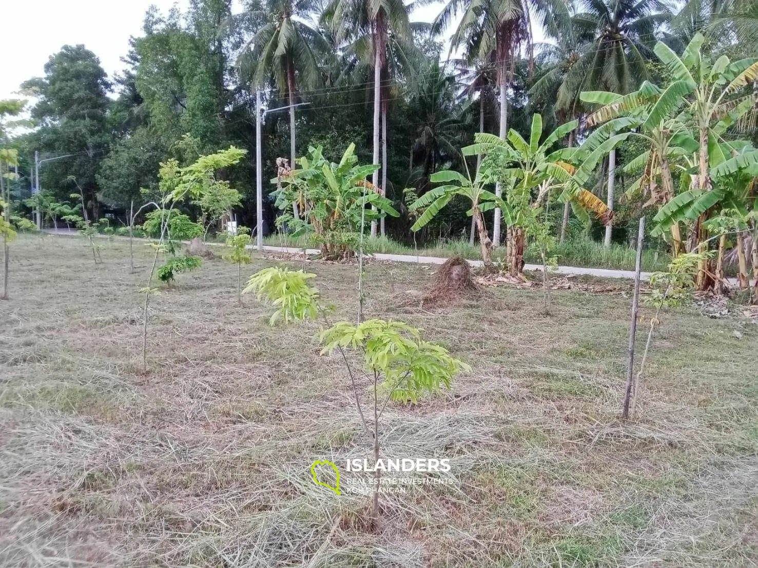 For Sale: Land in Maduawan, Panghan