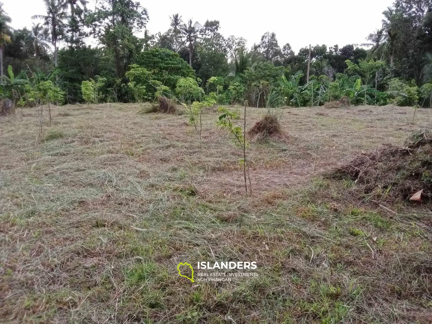 For Sale: Land in Maduawan, Panghan