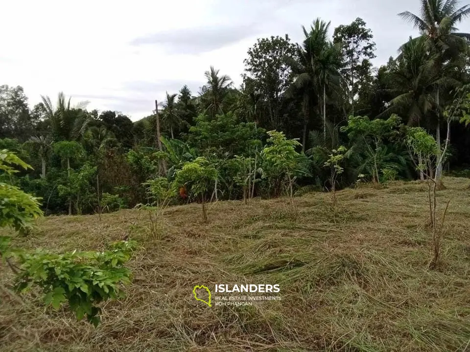 For Sale: Land in Maduawan, Panghan