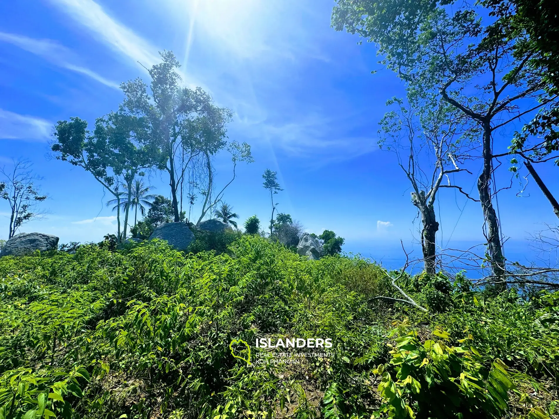 ที่ดินพระอาทิตย์ตกวิวทะเลที่สวยงามอย่างแน่นอนหาดยาว 4 ไร่ เกาะพะงัน