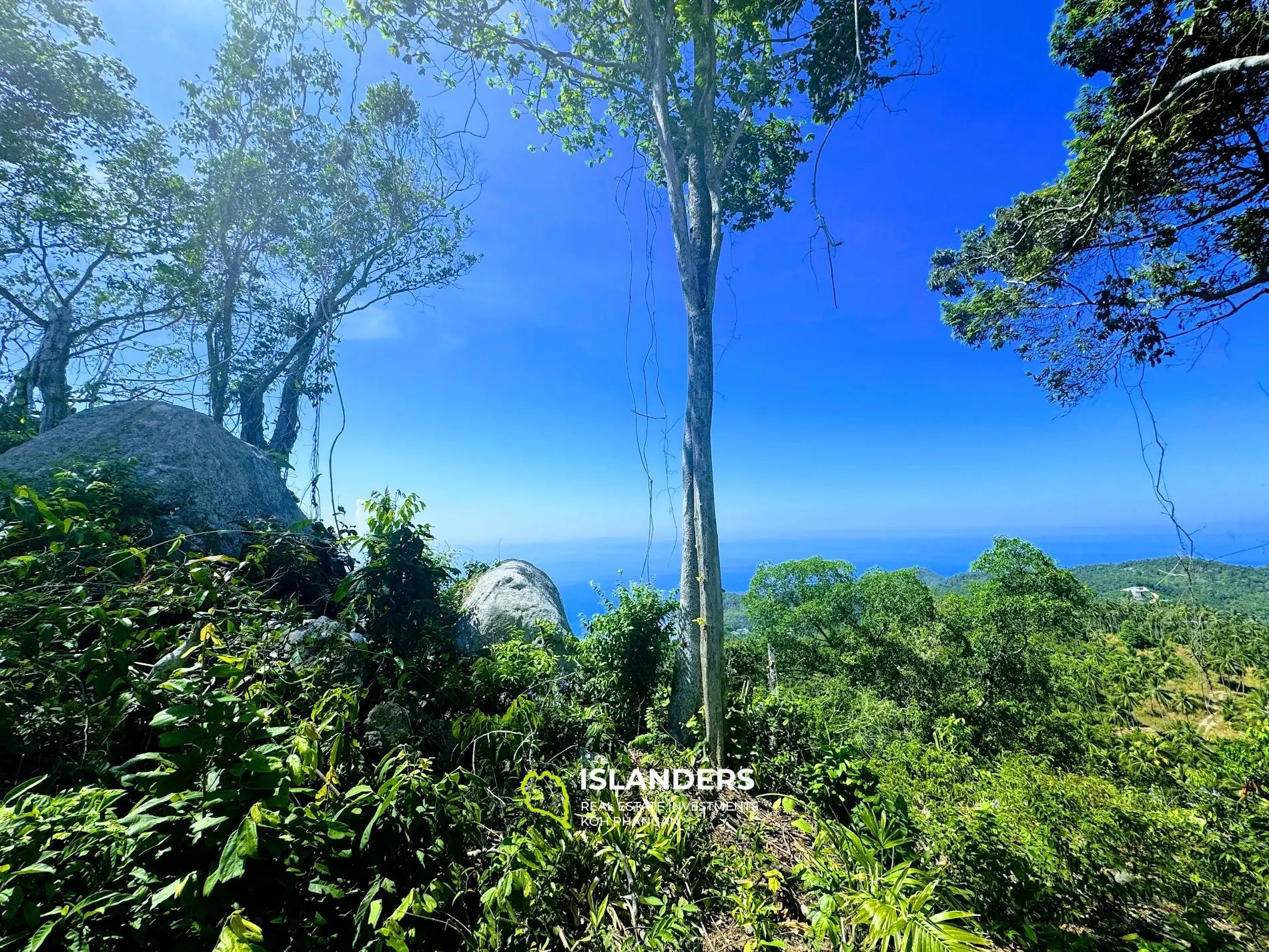 ที่ดินพระอาทิตย์ตกวิวทะเลที่สวยงามอย่างแน่นอนหาดยาว 4 ไร่ เกาะพะงัน