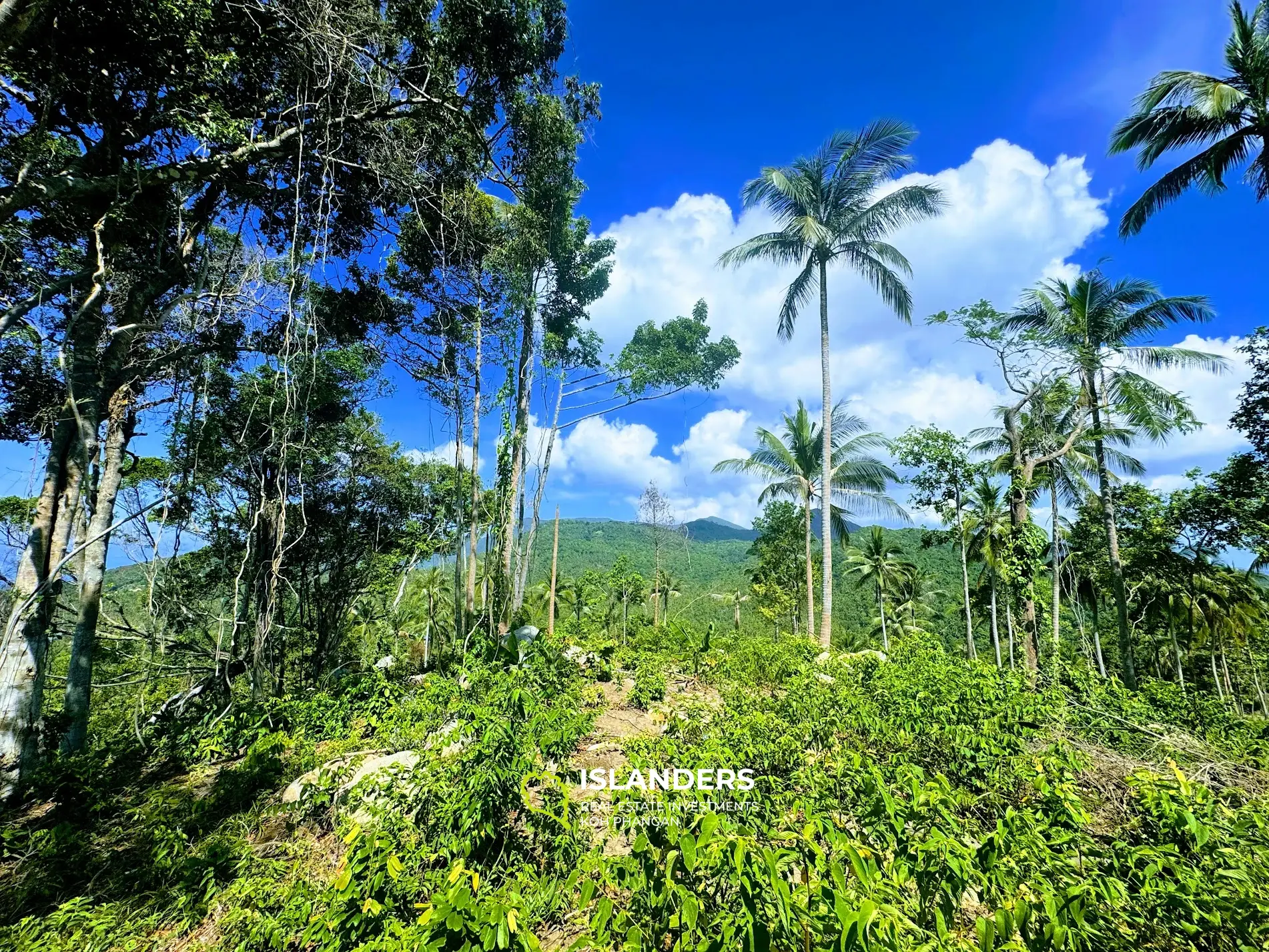 ที่ดินพระอาทิตย์ตกวิวทะเลที่สวยงามอย่างแน่นอนหาดยาว 4 ไร่ เกาะพะงัน