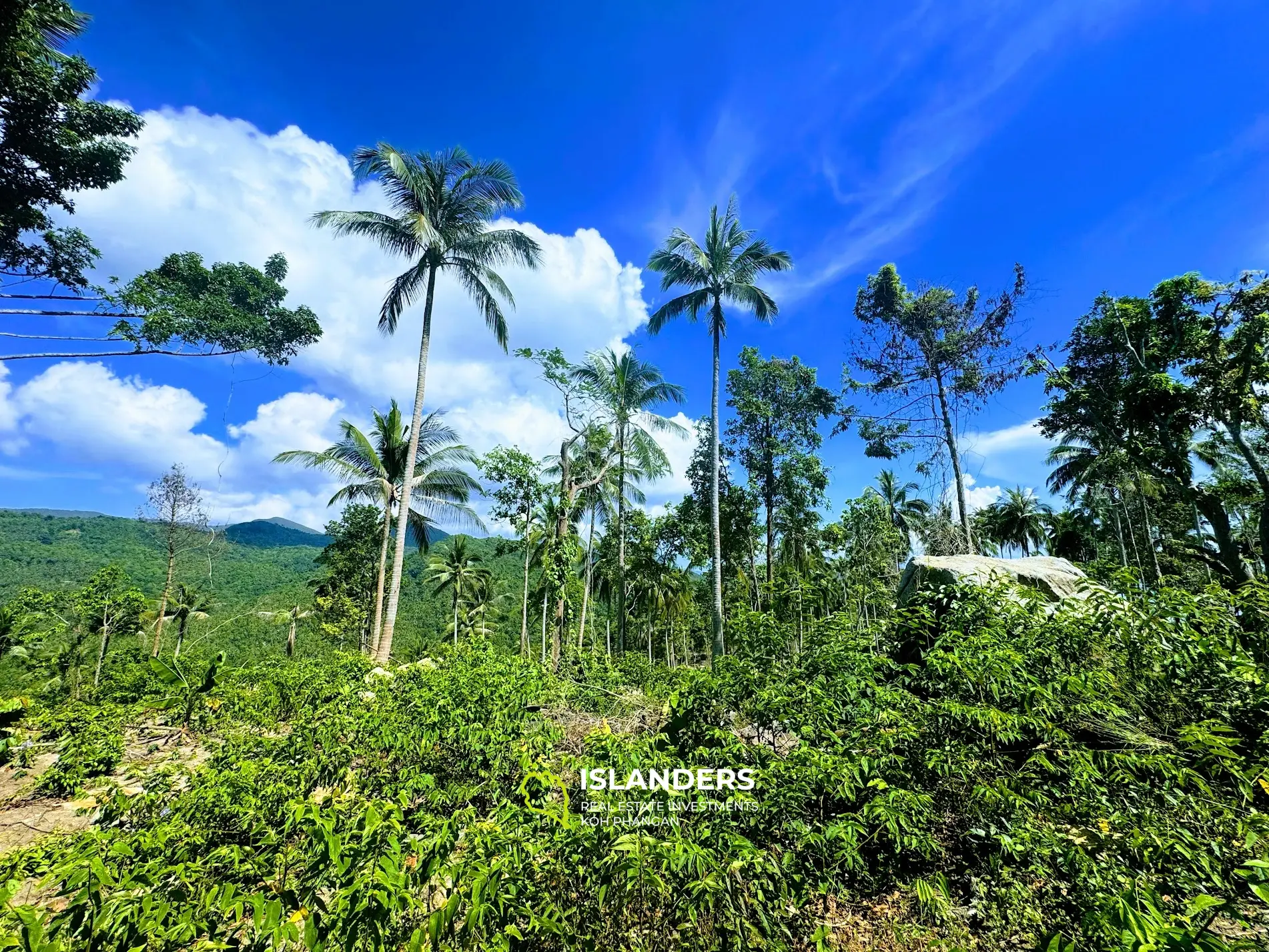 ที่ดินพระอาทิตย์ตกวิวทะเลที่สวยงามอย่างแน่นอนหาดยาว 4 ไร่ เกาะพะงัน