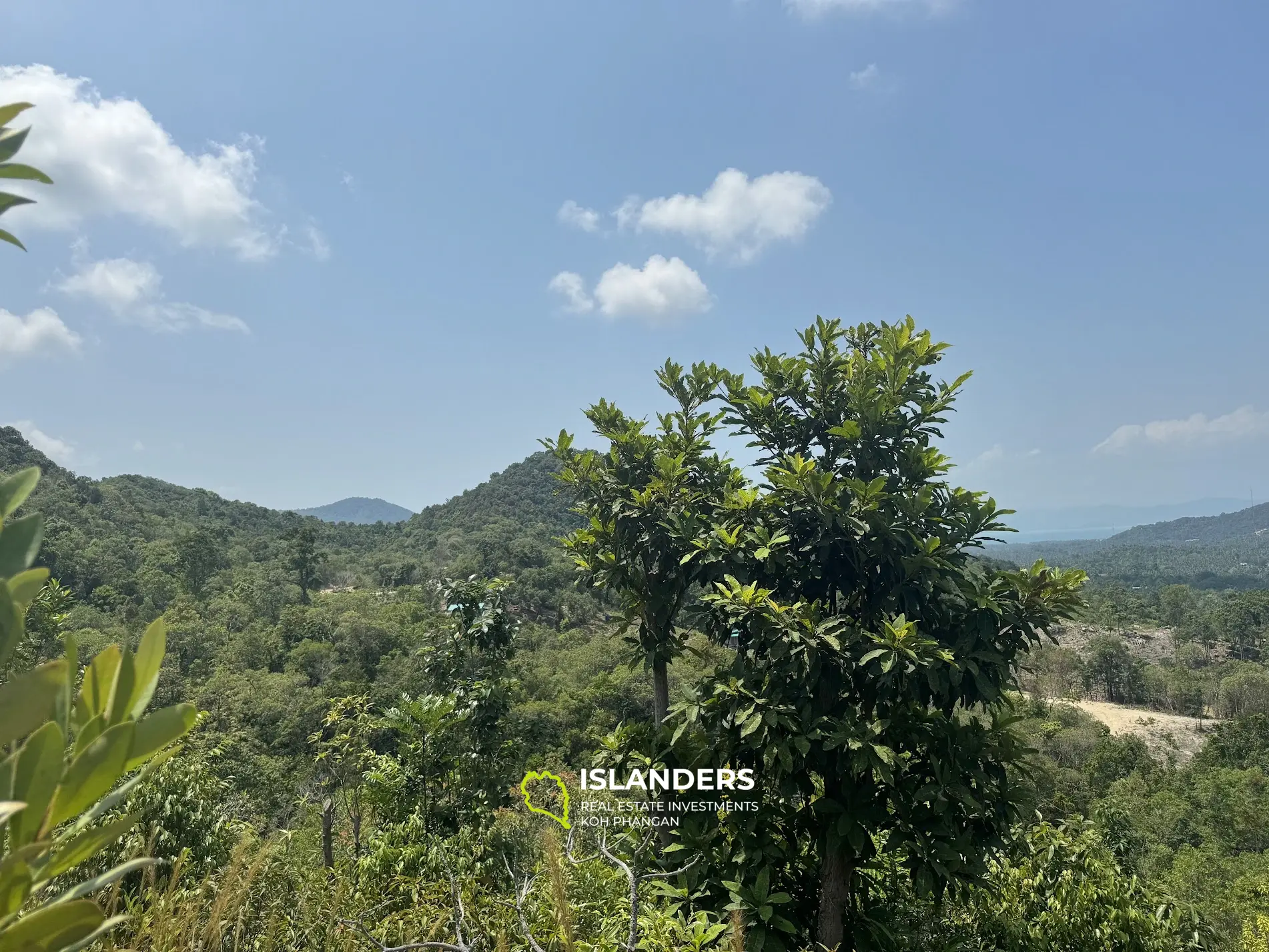 Seaview and jungleview land with good potential  (dirty road, no electricity), 5,6725 Rai