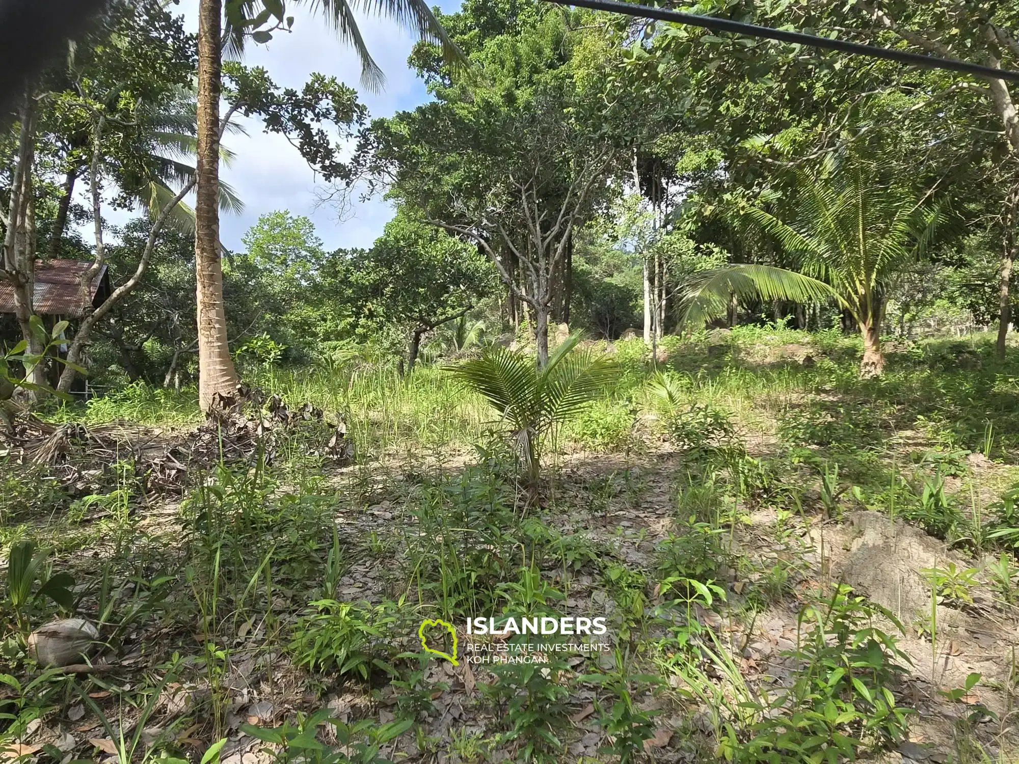 Tropical  6 Rai Land For Sale 