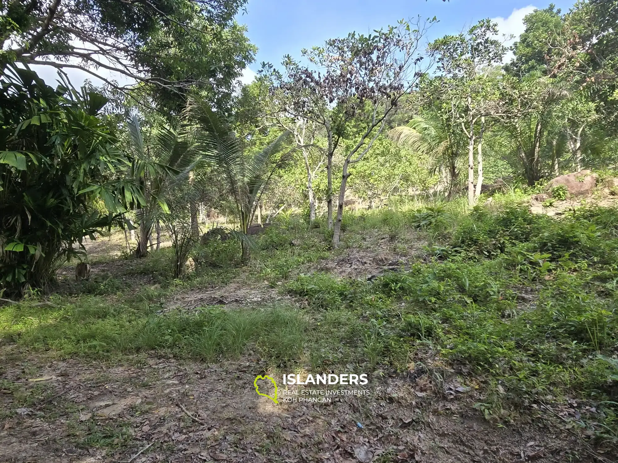 Tropical  6 Rai Land For Sale 