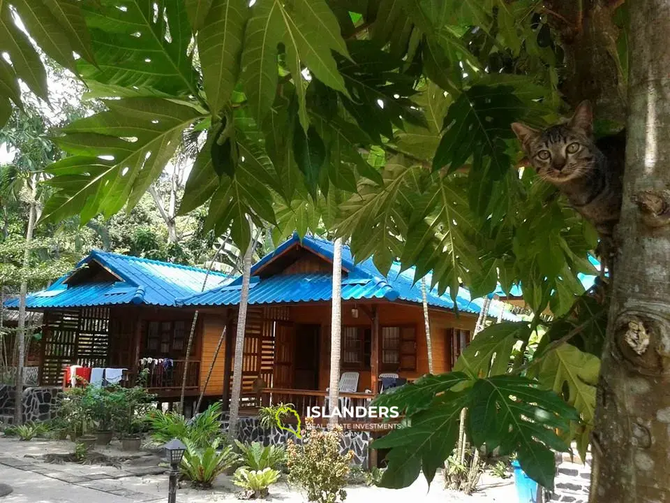 Beachfront Resort for Sale in Haad Yuan