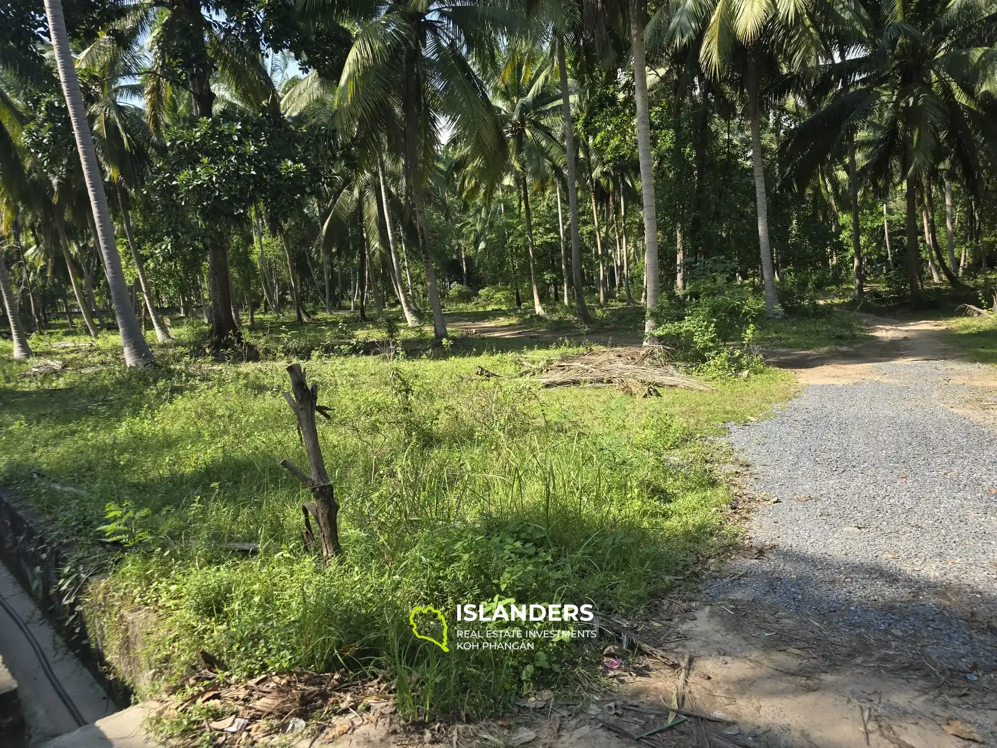 For Sale: Prime Flat Land Near Thongsala – Ideal for Investment or Residential Development