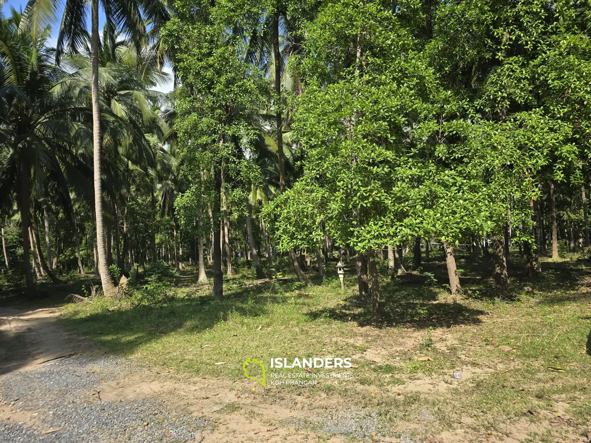 For Sale: Prime Flat Land Near Thongsala – Ideal for Investment or Residential Development