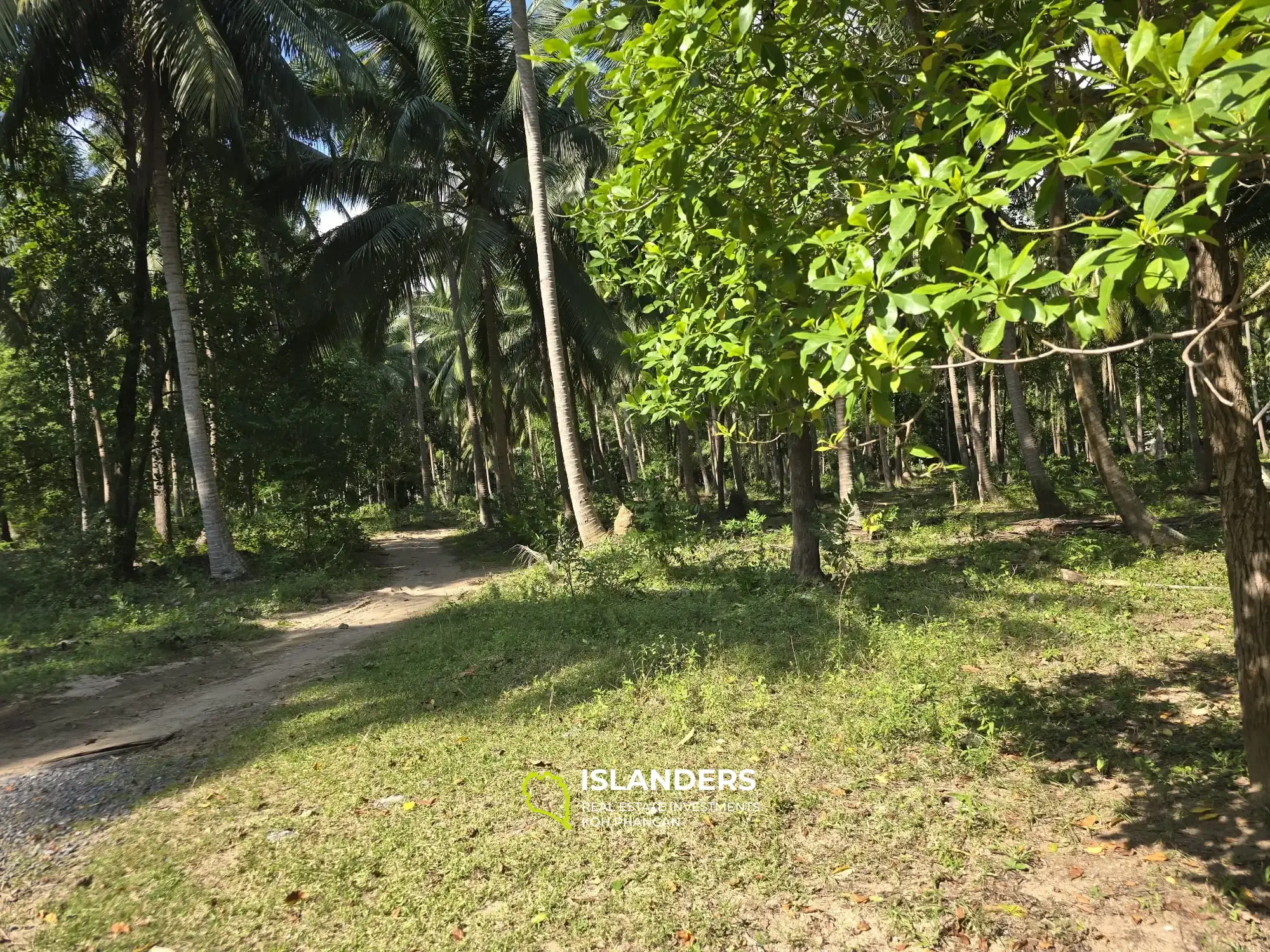 For Sale: Prime Flat Land Near Thongsala – Ideal for Investment or Residential Development