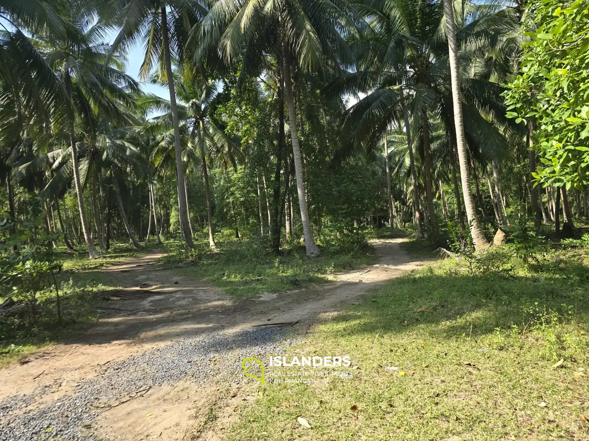 For Sale: Prime Flat Land Near Thongsala – Ideal for Investment or Residential Development