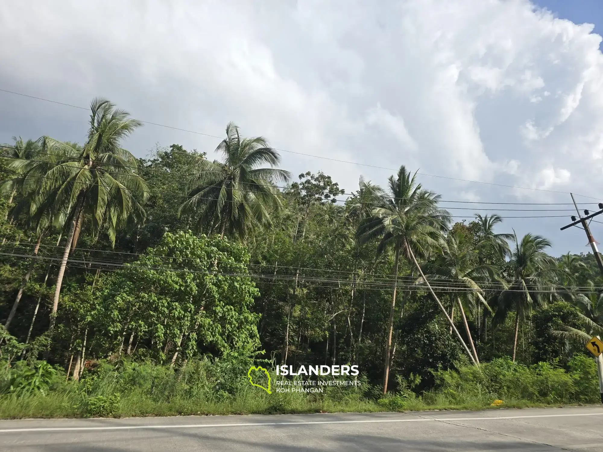 For Sale: Prime Flat Land Near Thongsala – Ideal for Investment or Residential Development