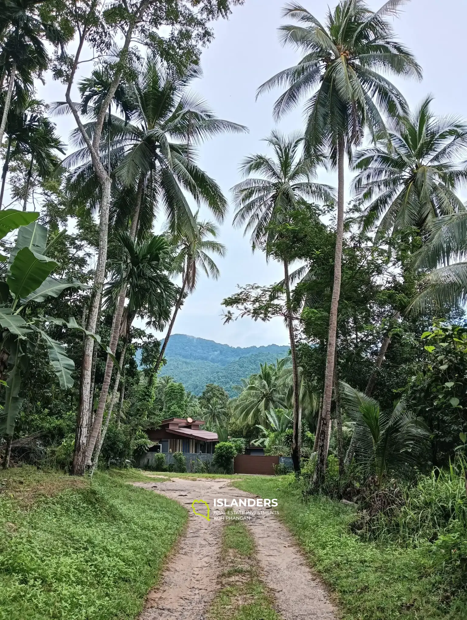 🏡 Charming House for Sale with Land - Koh Phangan 🌴