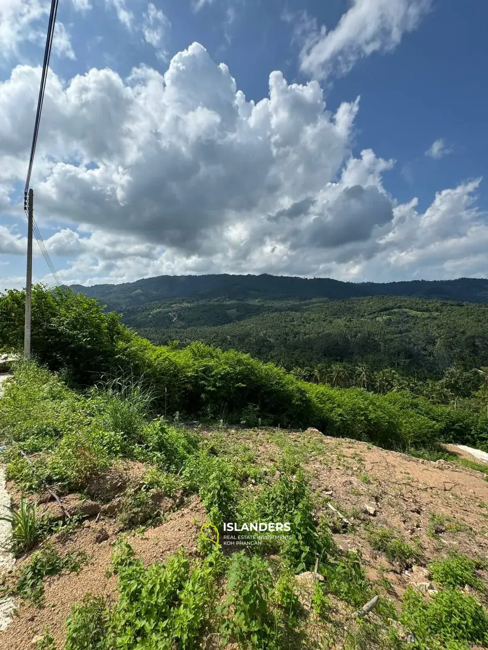 Scenic Land Plot for Sale in Maenam – 1,400 sqm with Thai Company