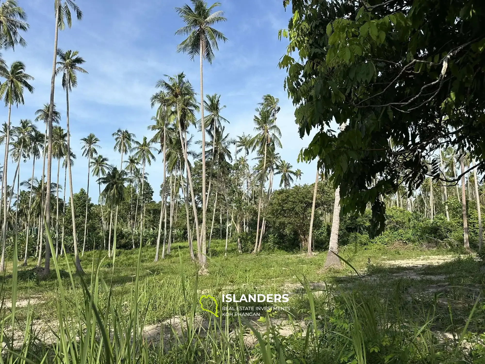 Land for Sale in Maenam, Koh Samui – Surrounded by Nature 2 Rai,  just 4,5M per Rai