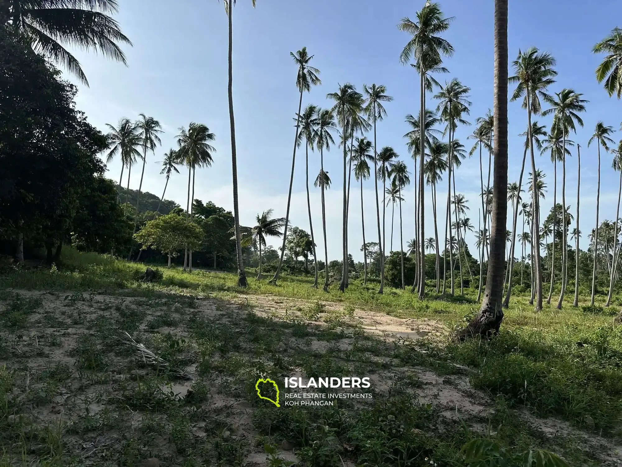 Land for Sale in Maenam, Koh Samui – Surrounded by Nature 2 Rai,  just 4,5M per Rai