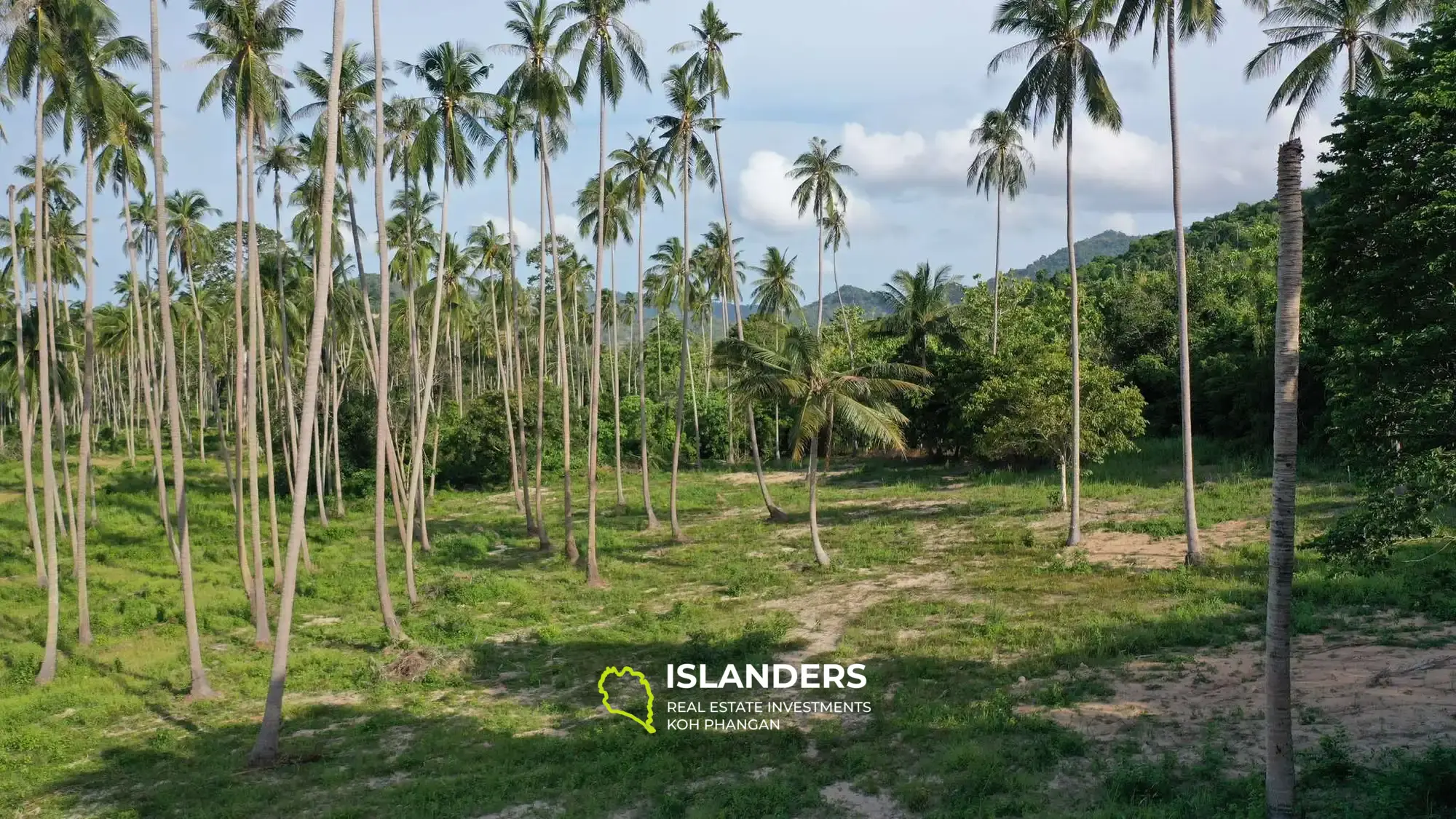 Land for Sale in Maenam, Koh Samui – Surrounded by Nature 2 Rai,  just 4,5M per Rai