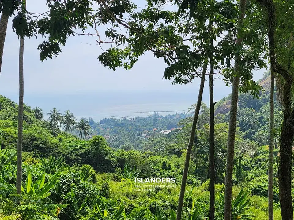 Land For Sale: Ko Samui / on Lamai Mountain with Seaview