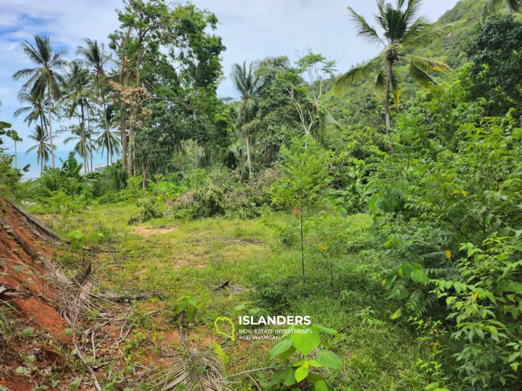 Land For Sale: Ko Samui / on Lamai Mountain with Seaview