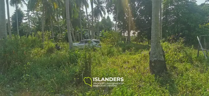 Ready to build – flat land in Coconut Lane