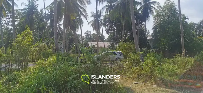 Ready to build – flat land in Coconut Lane