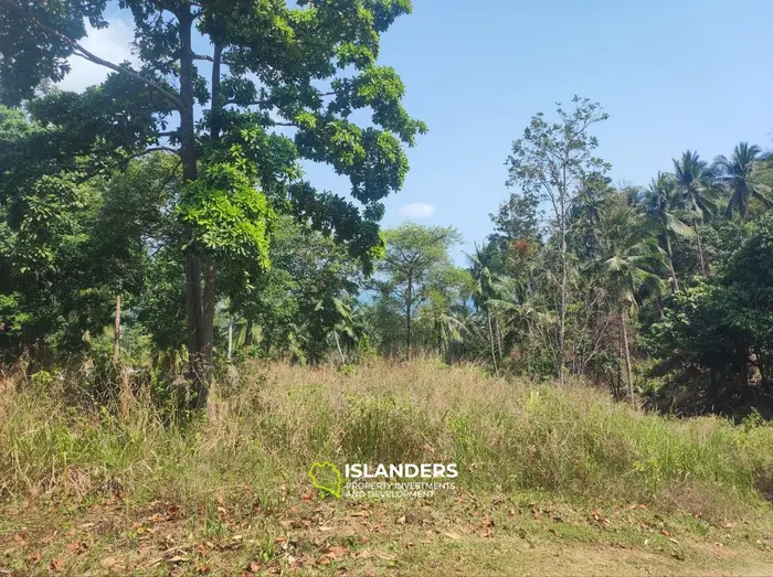 Small Seaview plot in Baan Tai, Koh Phangan