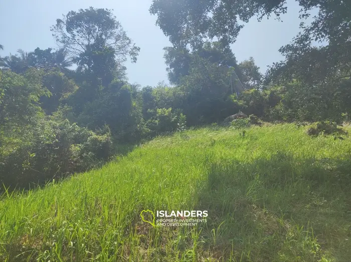 Small Seaview plot in Baan Tai, Koh Phangan