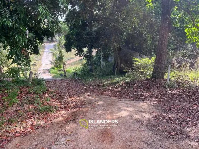 Small Seaview plot in Baan Tai, Koh Phangan