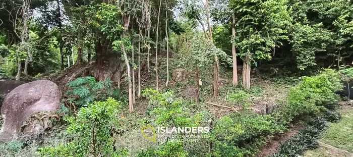 Coconut lane Land , quiet area