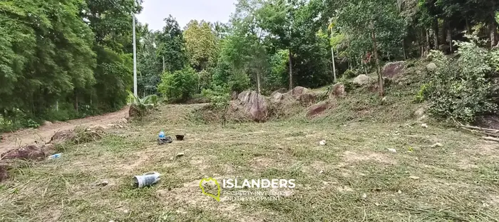 Coconut lane Land , quiet area