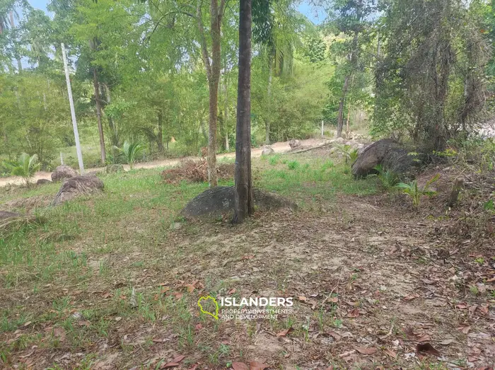 Coconut lane Land , quiet area