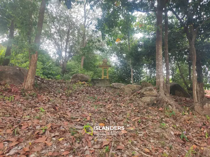 Coconut lane Land , quiet area