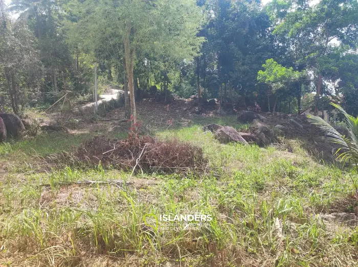 Coconut lane Land , quiet area