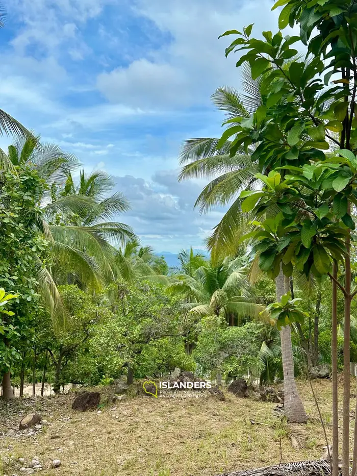 Stunning Sea View Land for Sale in Haad Yao, Koh Phangan