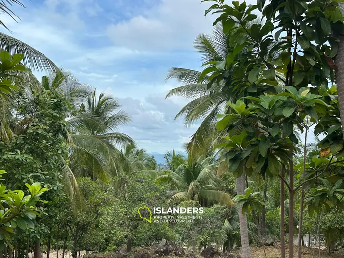 Stunning Sea View Land for Sale in Haad Yao, Koh Phangan