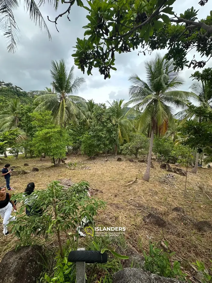 Stunning Sea View Land for Sale in Haad Yao, Koh Phangan