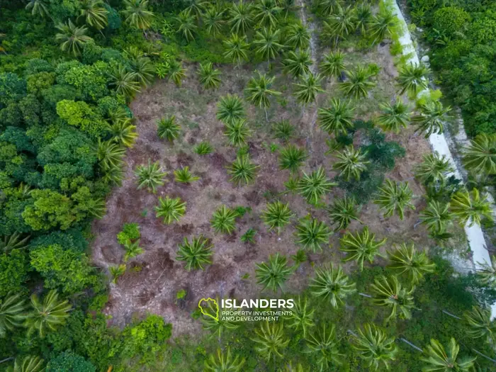  Amazing Sea View Land 