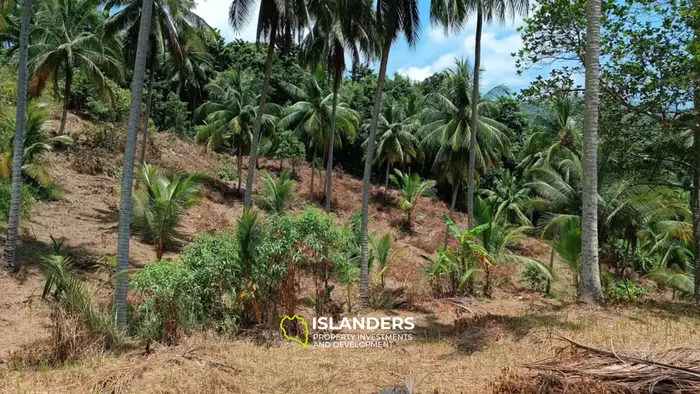  Amazing Sea View Land 