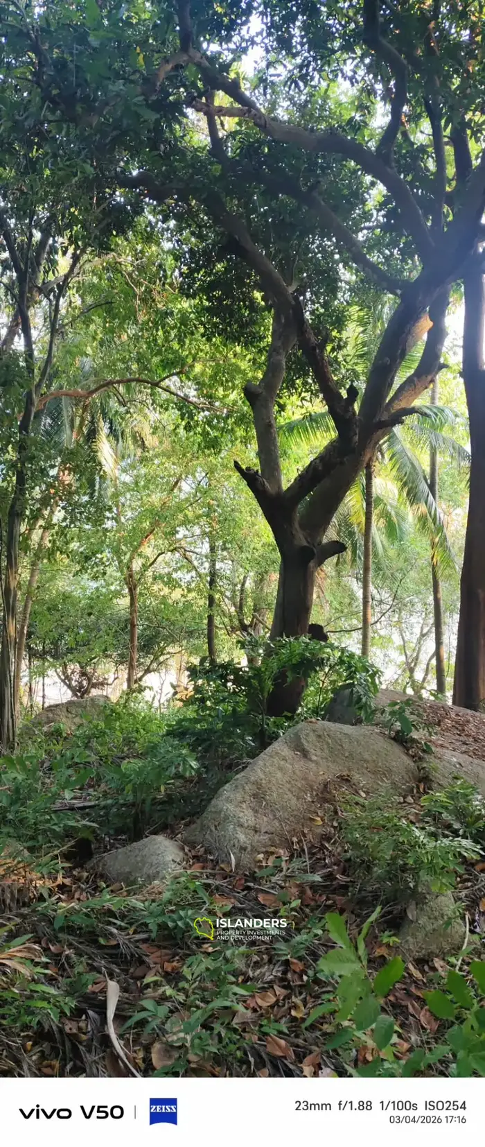 Amazing beach front land 9 Rai in Haad Rin