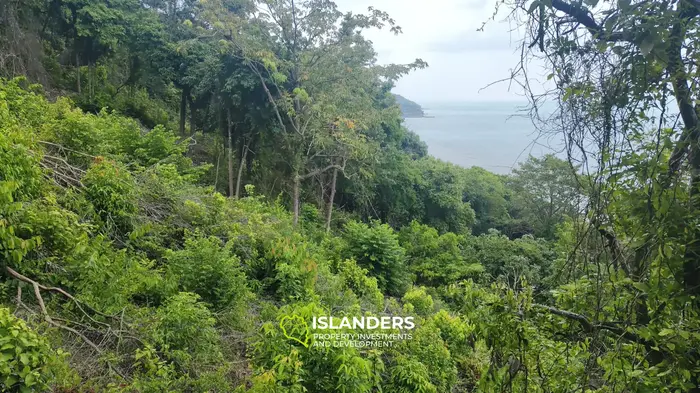 Amazing beach front land 9 Rai in Haad Rin