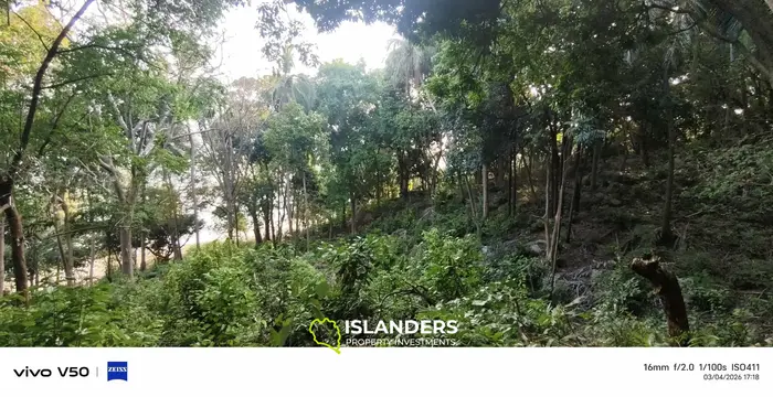 Amazing beach front land 9 Rai in Haad Rin